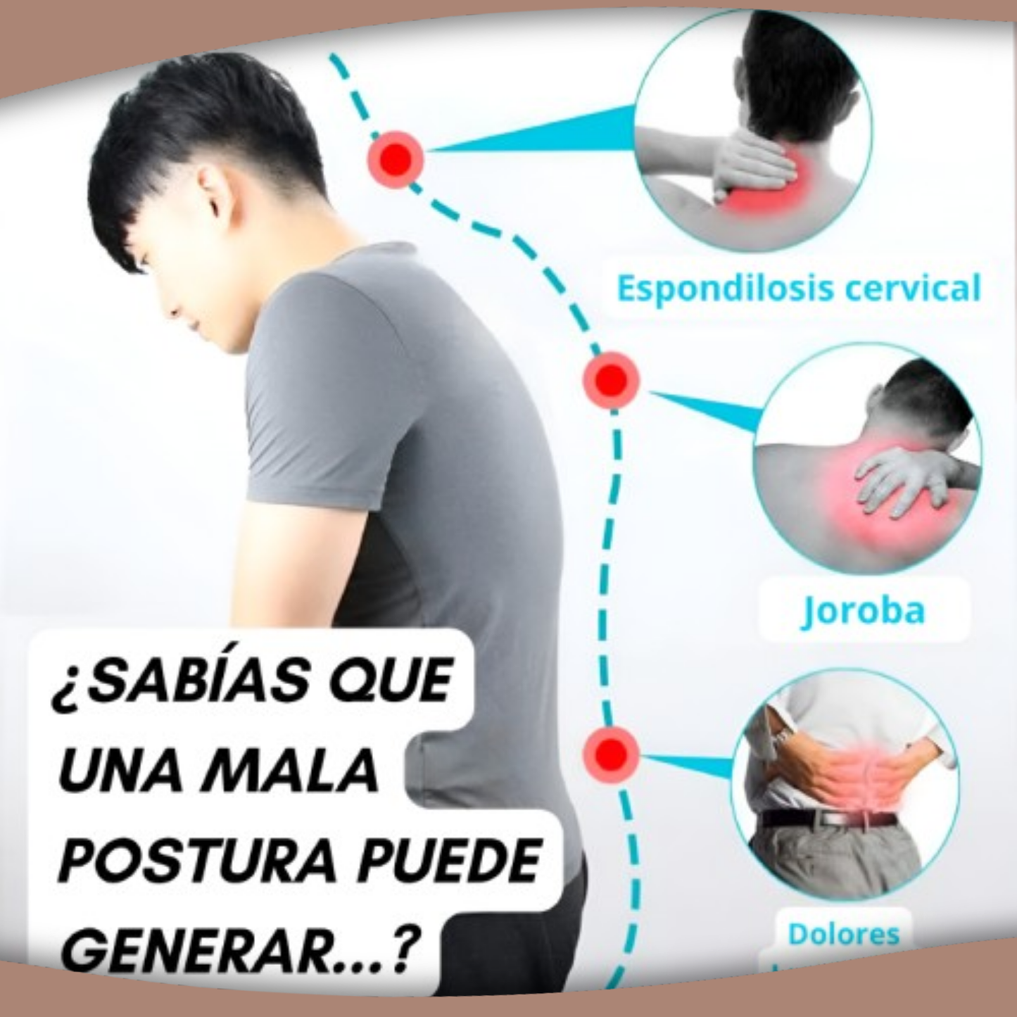 ErgoFlex™ | Soporte de Espalda