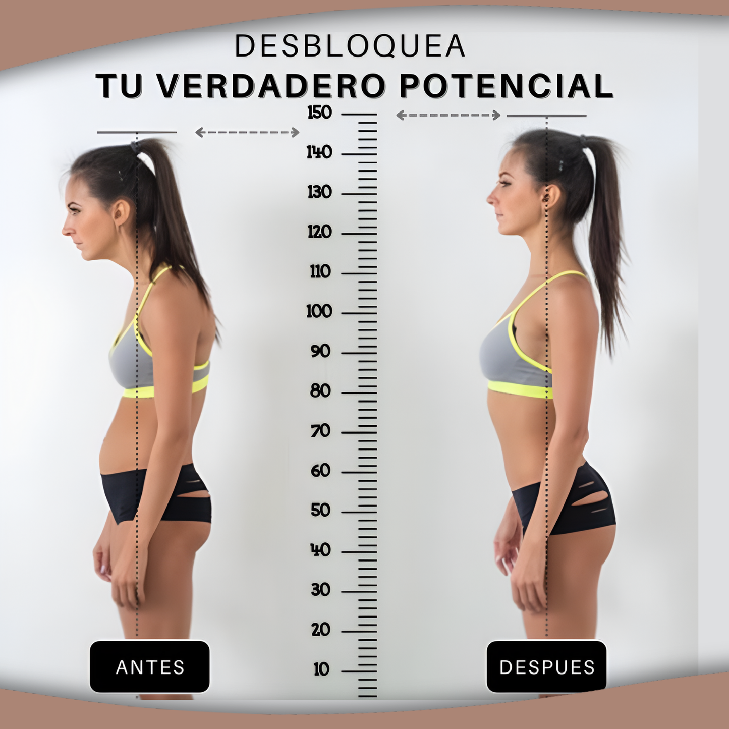 ErgoFlex™ | Soporte de Espalda